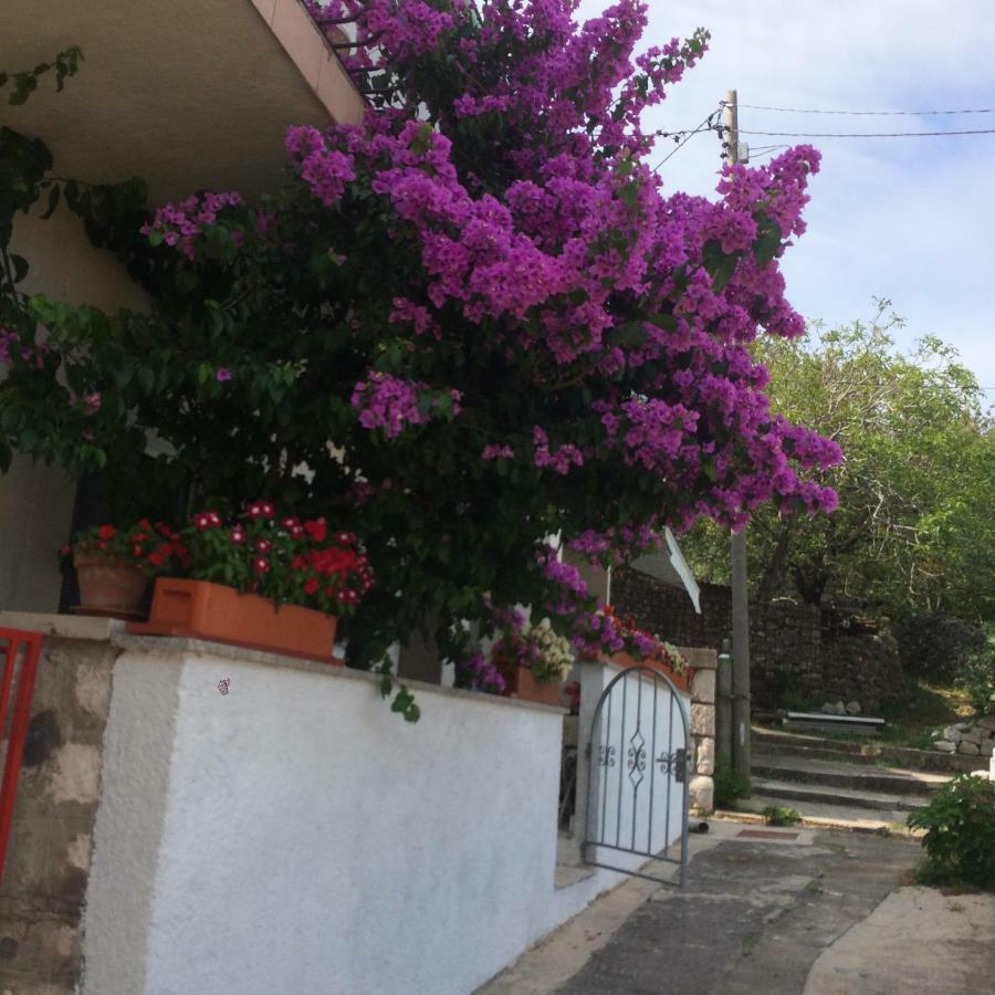 לוקובו Apartment Marica מראה חיצוני תמונה